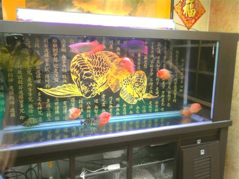 魚缸工廠|翊展水族